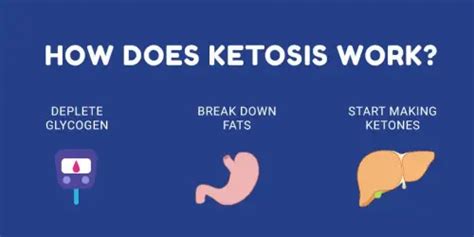 Difference between Ketosis and Ketoacidosis - Difference.Guru