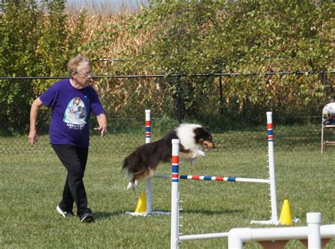 Competition Agility - Dog Training Club of Champaign Urbana