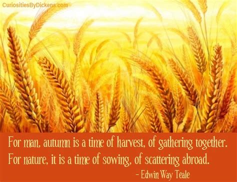 Harvest Time Quotes. QuotesGram