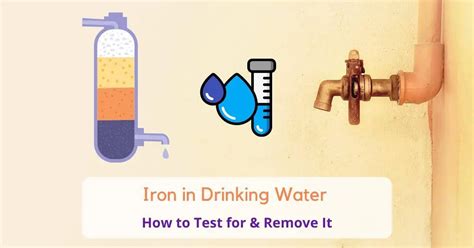 Iron in Drinking Water (Here's What to Do About It!)