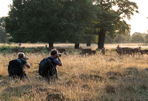 Wildlife Photography Workshop in Richmond Park, London