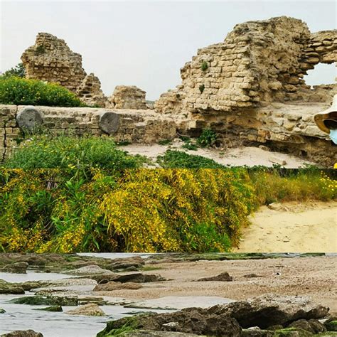 Walking the Ramparts of Ashkelon National Park