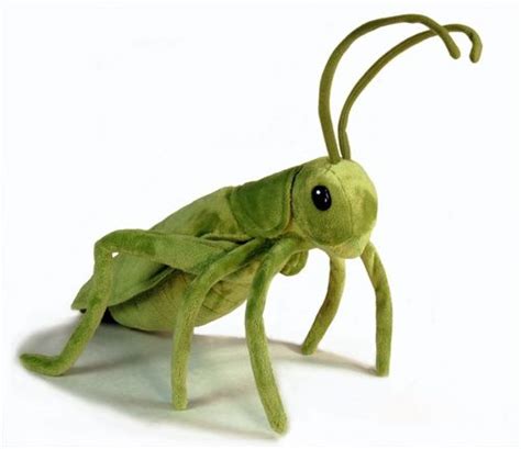 Jaag 16'' Grasshopper | Plush animals, Animal plush toys, Toy safety