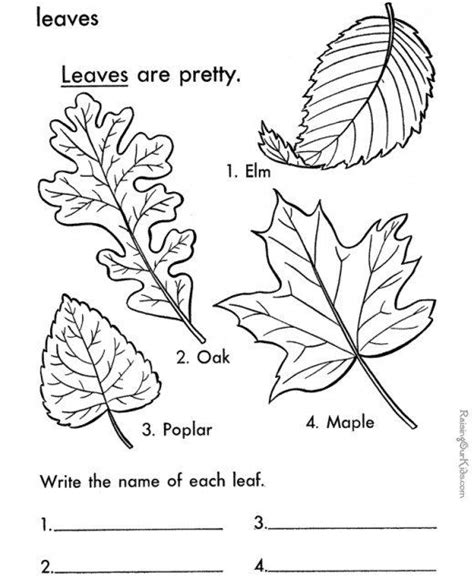 Printable Tumble Leaf Coloring Pages - Christopher Myersa's Coloring Pages