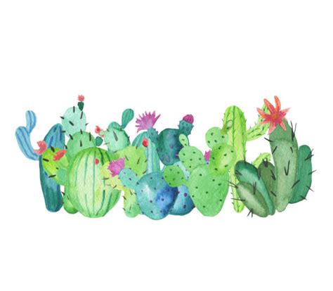 Cactus Border Design