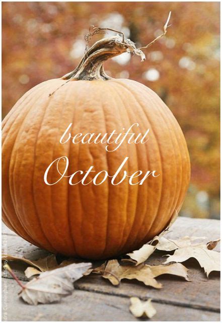 .Hello October! | pumpkin. | Pumpkin, October images, Fall thanksgiving