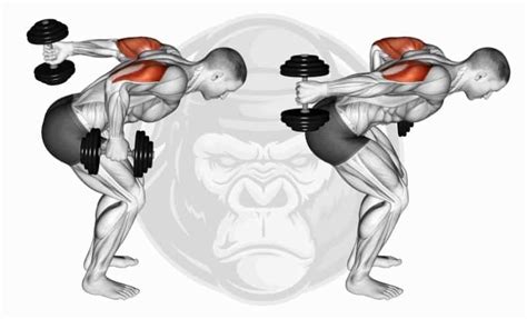 The 10 Best Long Head Tricep Exercises (2024) - Jacked Gorilla