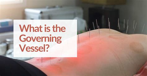 What is the Governing Vessel in TCM and Bioenergetic Testing? - CBH Energetics