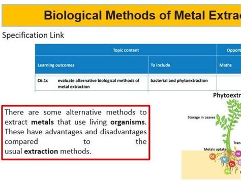 Biological Methods of Metal Extraction + Phytoextraction + Bioleaching | Teaching Resources