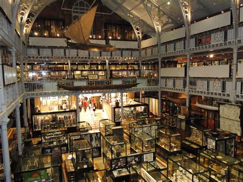 Pitt Rivers Museum | Experience Oxfordshrie