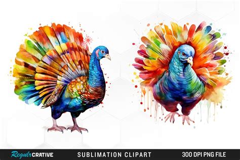 Colorful Turkey Clipart