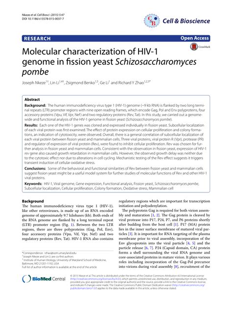 (PDF) Molecular characterization of HIV-1 genome in fission yeast Schizosaccharomyces pombe