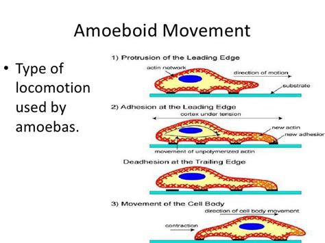 Biology 20.2