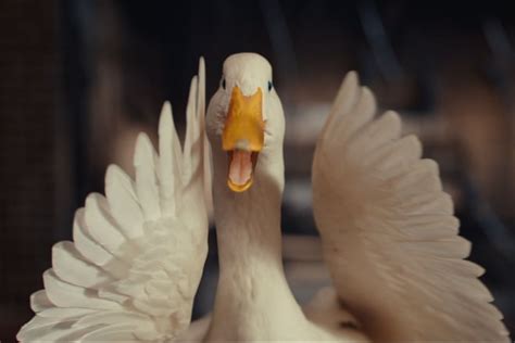 Aflac duck creators on returning to the famous campaign | Ad Age