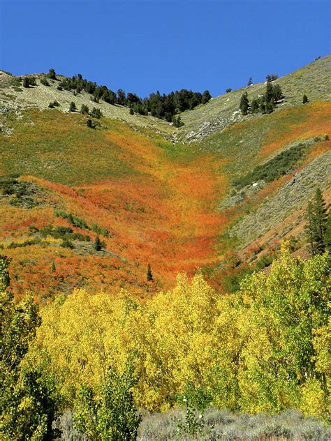 DM6491 Fall Colors near North Lake Photograph by Ed Cooper Photography ...