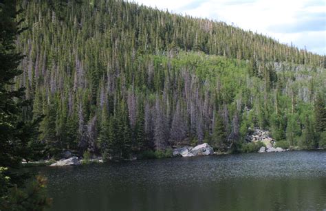 Bear Lake in the Colorado Rocky Mountains