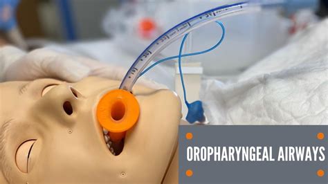 Oropharyngeal Airway How To Measure