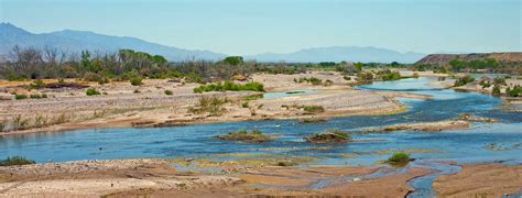 Gila! Honors Program hosts noted nature writer | Western Voice