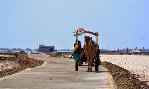 Rann Utsav Kutch Gujarat: online bookings