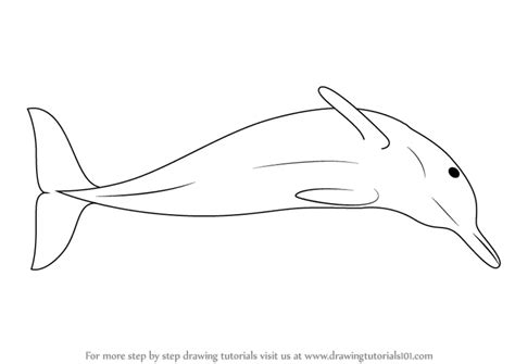 Learn How to Draw a Boto Dolphin (Sea Water Animals) Step by Step ...