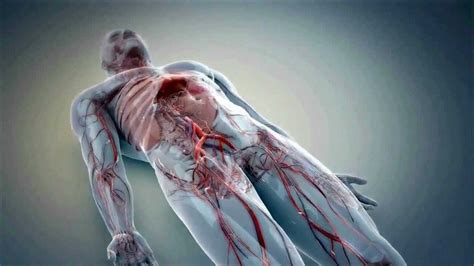 3D Medical Animation - How does the healthcare industry benefit?