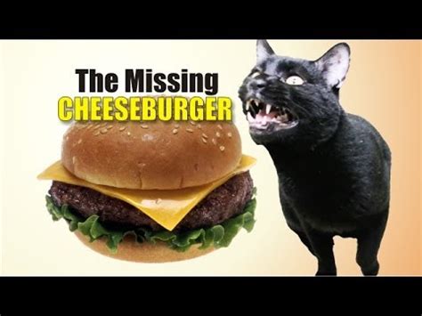 Talking Kitty Cat 32 - The Missing Cheeseburger - YouTube