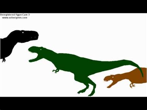 Tyrannosaurus rex vs Tarbosaurus vs Albertosaurus - YouTube