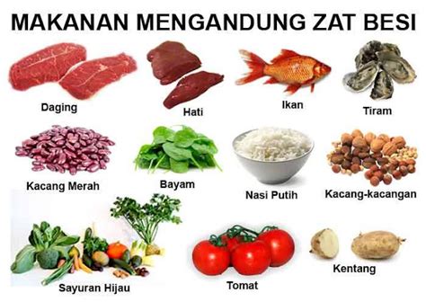 Makanan Yang Mengandung Zat Besi - INFO SEHAT