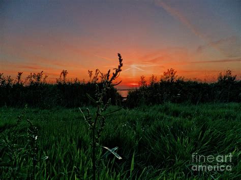 Sunset over the Meadow Photograph by Pete Moyes | Fine Art America