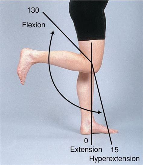 knee range of motion - Google Search | Anatomía, Huesos