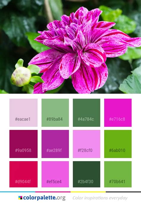 Flower Plant Pink Color Palette | colorpalette.org