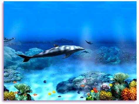 Free Animated Dolphin Screensavers Wallpaper - WallpaperSafari