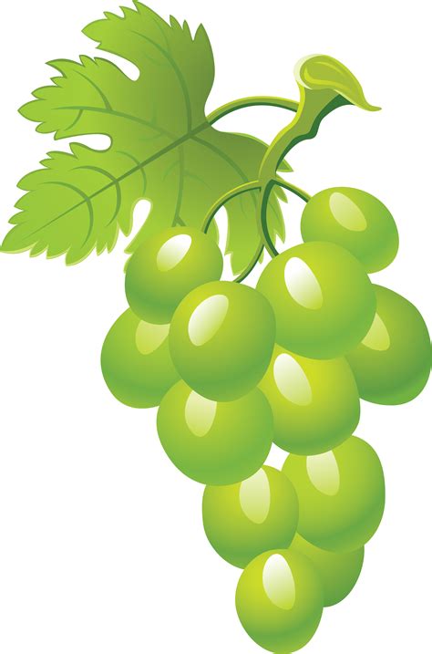 Images For > Green Grapes Clipart - Cliparts.co