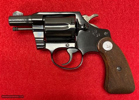 Vintage Colt Cobra .38 Special Snub Nose From 1965 Excellent Condition