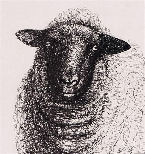 Gallery For > Henry Moore Drawings Sheep