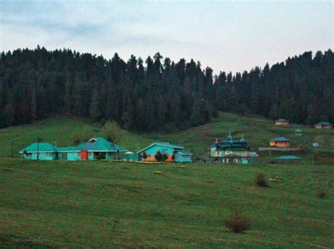 Things to do in Yusmarg, Kashmir – The Wicked Soul