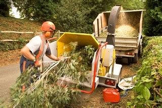tree pruning service acworth GA | tree pruning service acwor… | Flickr