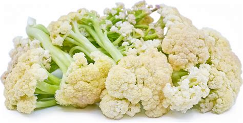 Sprouting White Cauliflower Information and Facts