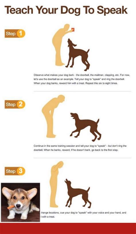 Dog Training Tips Stay Command #dogtraining and #puppytraining | Dog training near me, Dog ...