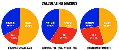 30+ Calculate Adjusted Body Weight - MccallBlessings