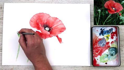 Poppies Watercolor Painting