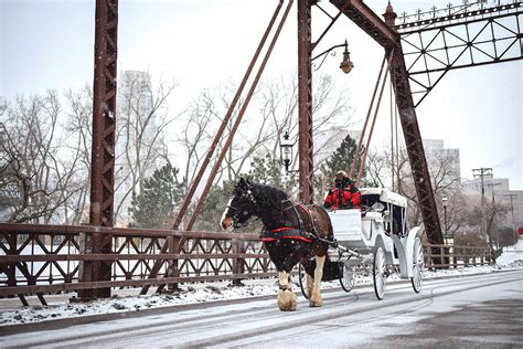 horse-and-carriage-in-winter - Visit Twin Cities