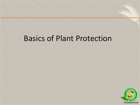 Basics of plant protection