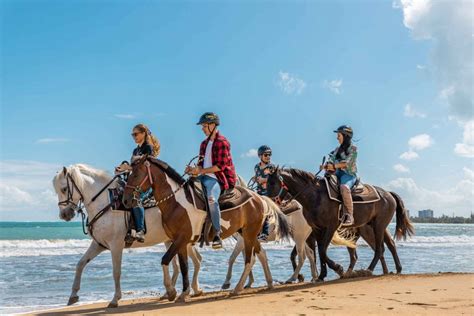 Carabalí Rainforest Park: Beach Horseback Riding in Puerto Rico