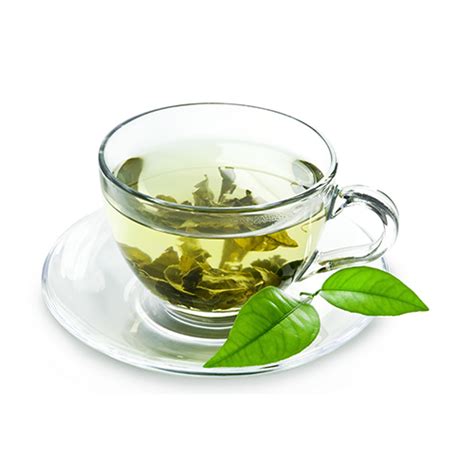 Camellia Sinensis (Green Tea) Leaf Extract | Ingredient ...