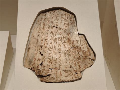 Oracle bone inscriptions stir passion of veteran archaeologist - CGTN
