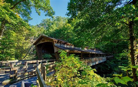 Mohican Cabins | Top 10 Cabins Near Mohican State Park - Cabin Critic