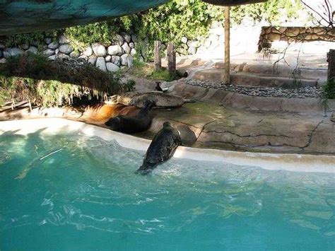 Los Angeles Zoo, Los Angeles, CA - California Beaches