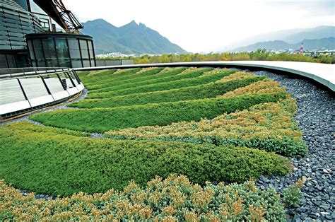 GREEN ROOFS ON STEEL - Revista Landuum