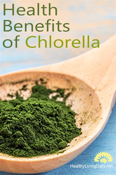 Chlorella Side Effects and Health Benefits in 2020 | Chlorella, Health, Health benefits